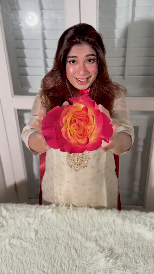Sunset Rose
